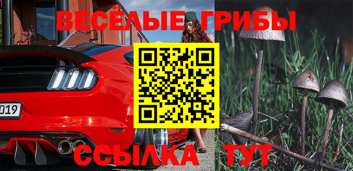 Кулебаки  Галлюциногенные грибы Psilocybine cubensis  Вход с VPN 