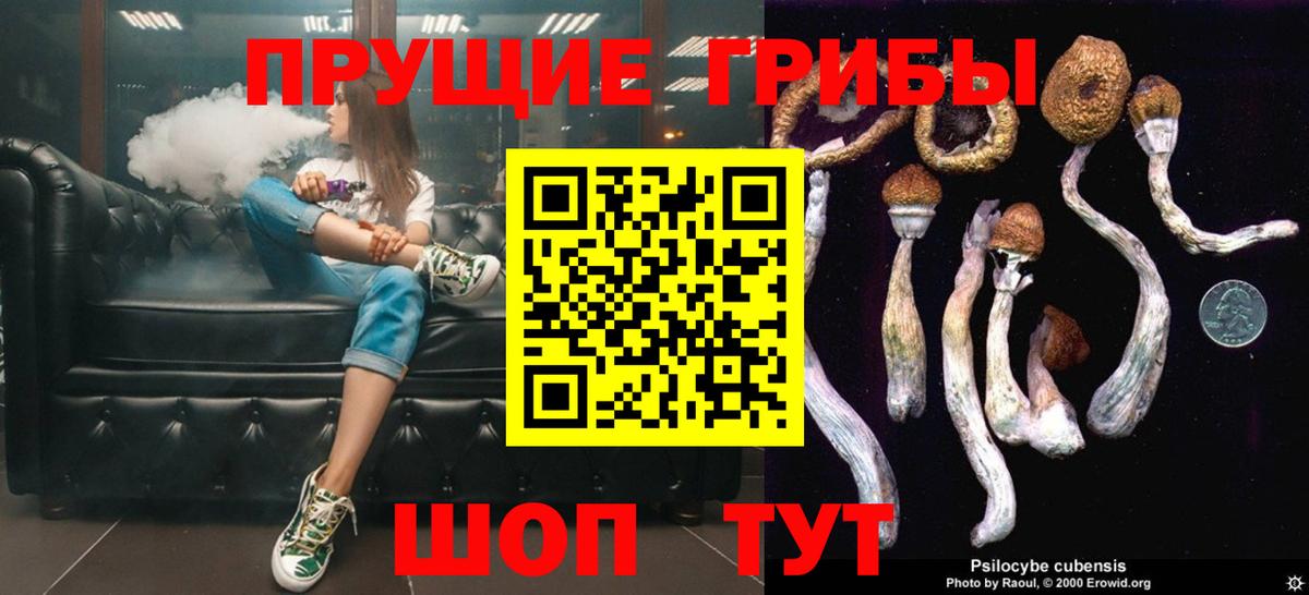 Псилоцибиновые грибы GOLDEN TEACHER Кулебаки